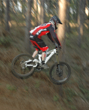 Waynedemodrop_2 Waynedemodrop_2
