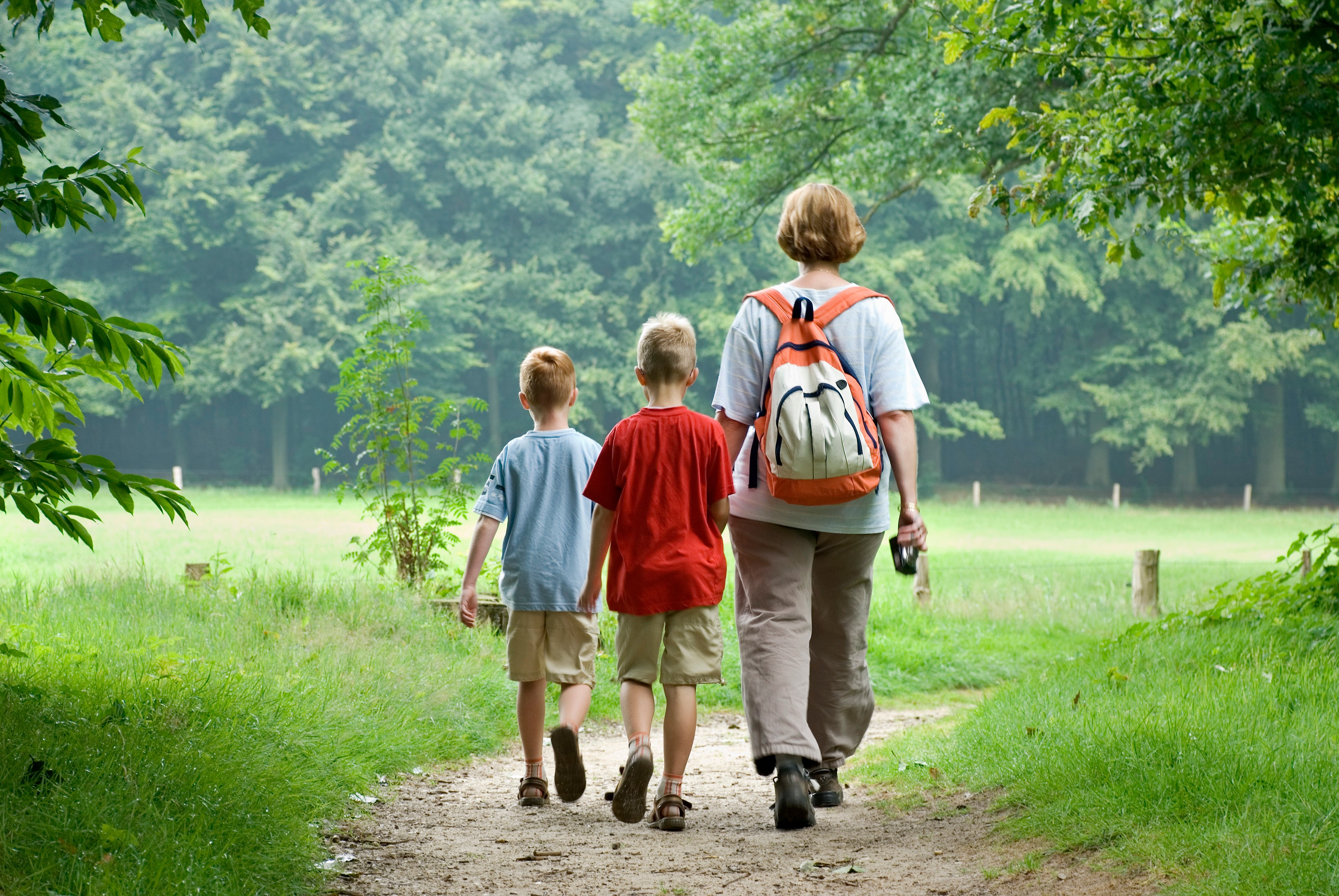 На свежем воздухе можно гулять. Прогулки на свежем воздухе. Прогулки на свежем воздухе для детей. Прогулка на воздухе. Пешие прогулки с детьми.