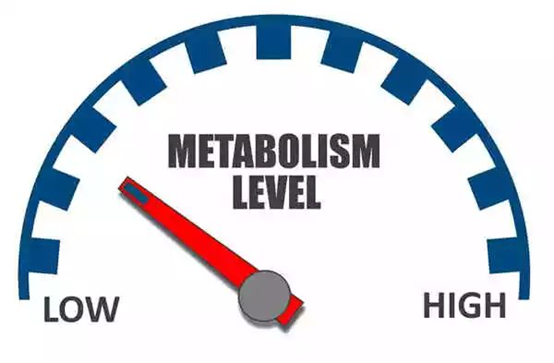 metabolism-level