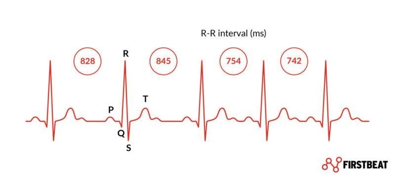 heart rate & stress