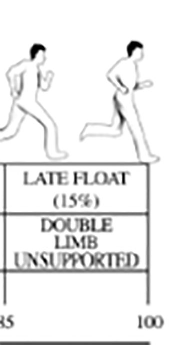 double-limb-unsupported2