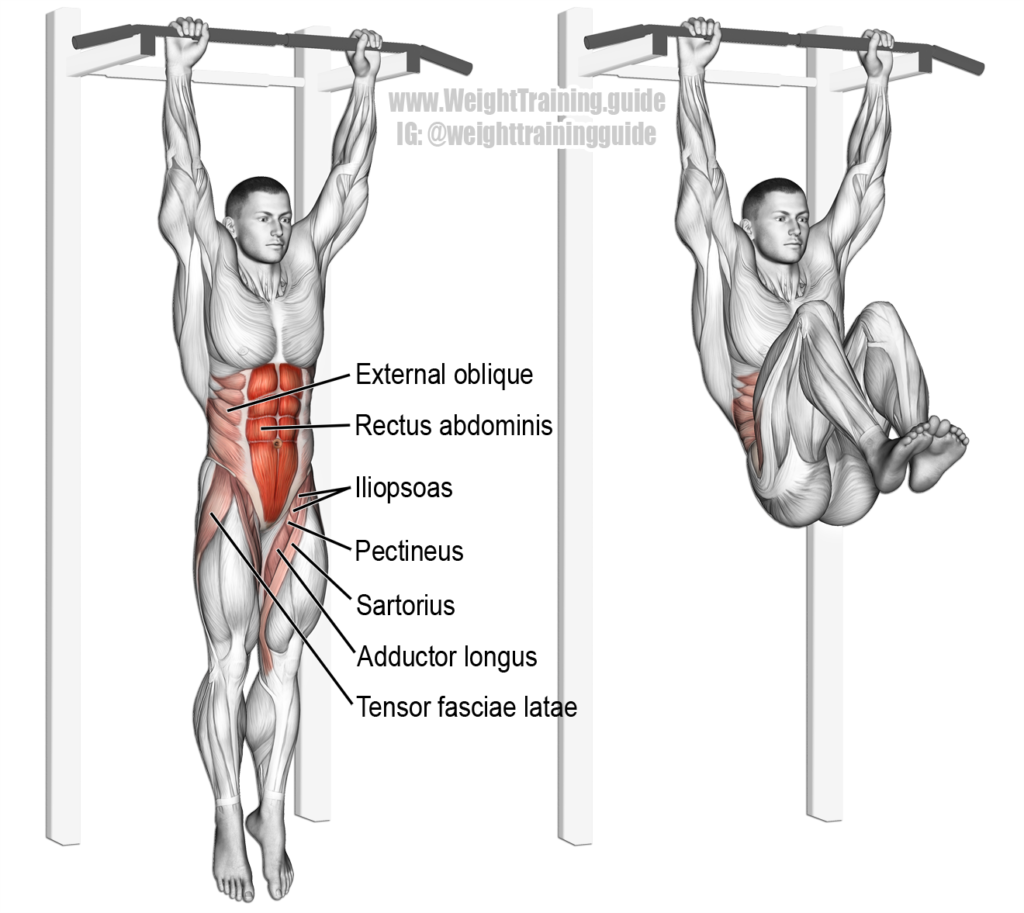 hanging-legs-raise