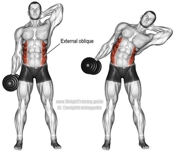 external-oblique