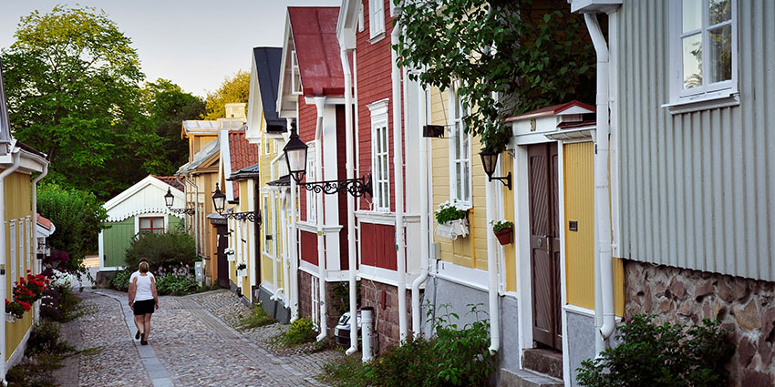 Sustainable and Healthy Cities of the Future
