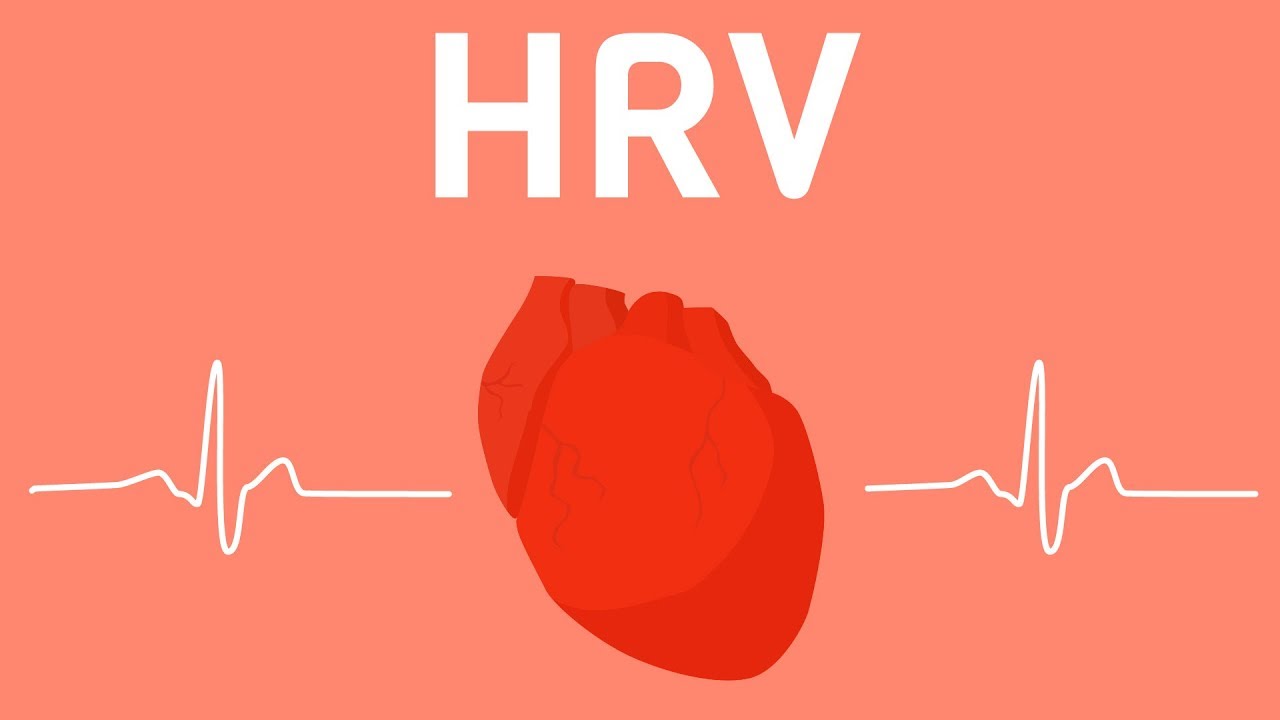 An Alternative Reference Index to Monitor Fatigue – Heart Rate ( HRV) - Garmin Blog