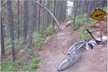 Bike_on_trail