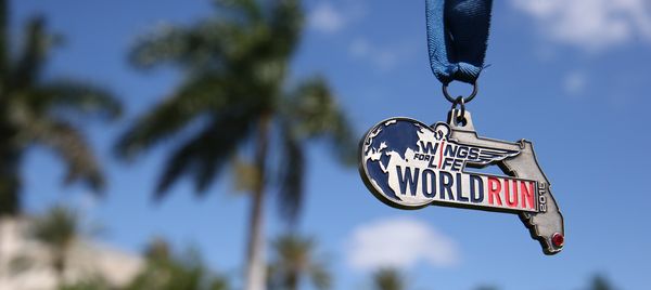 WFL World Run Medal