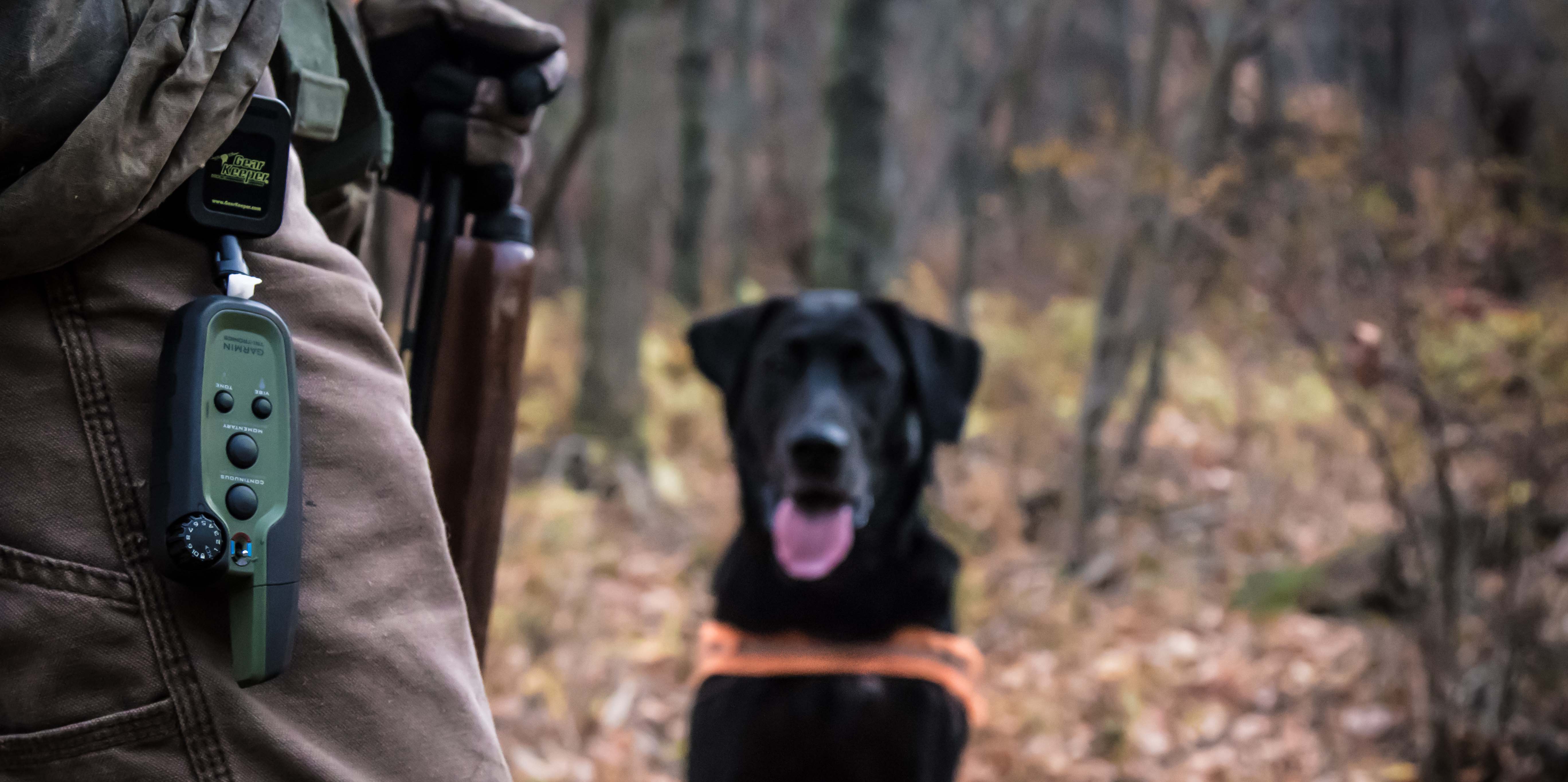 Best gift for dads with hunting dogs - garmin sport pro