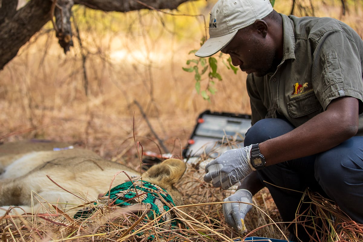 Conservation South Luangwa uses Garmin products to combat poaching.