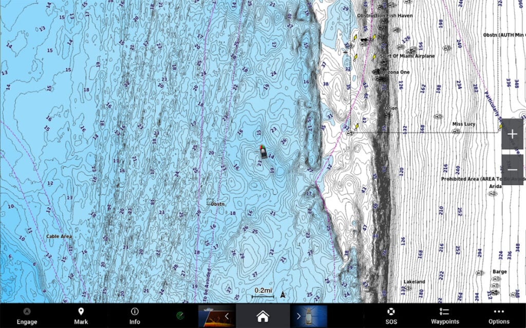 Picture of online nautical chart by Garmin Navionics.