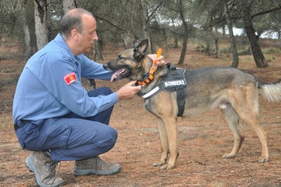 Garmin_perros