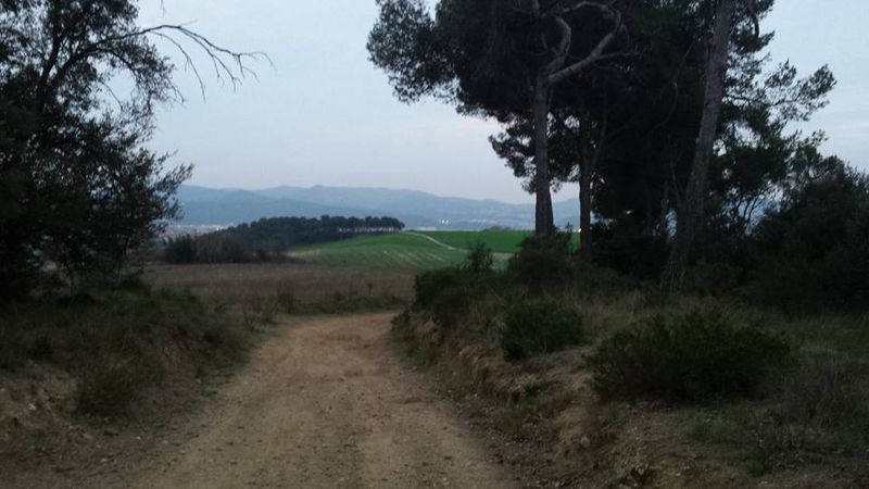 Riesgo 1