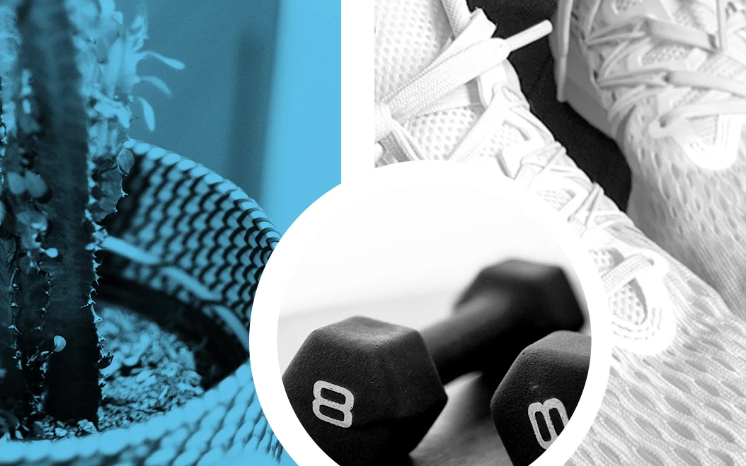 apps para entrenar en casa