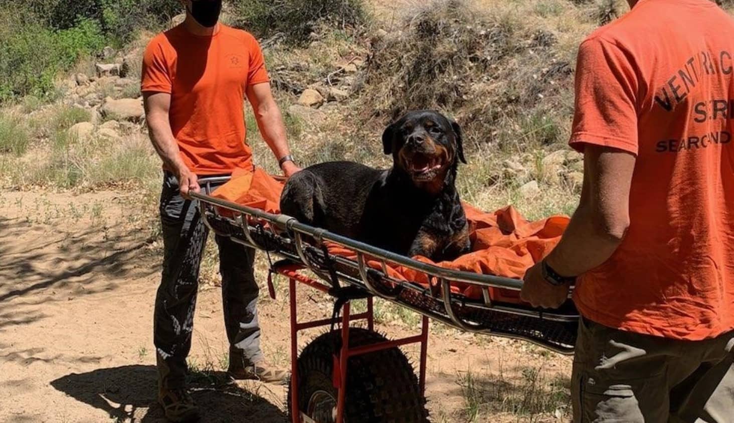 coordinacion rescate perro montaña con garmin
