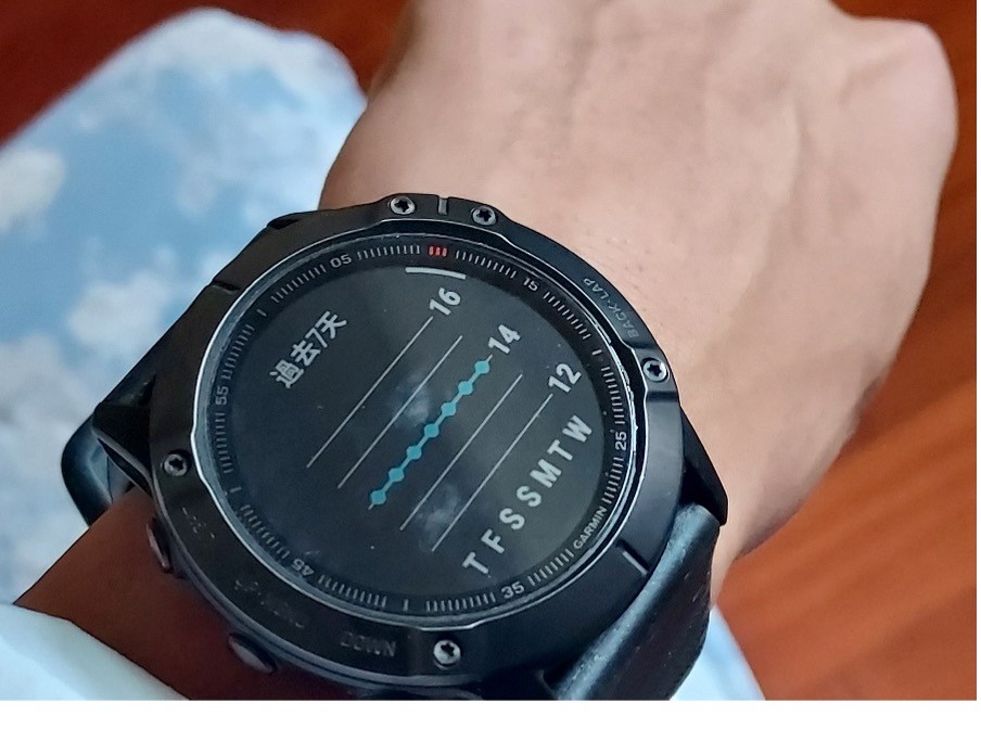 Contoh data pernapasan pada jam Garmin