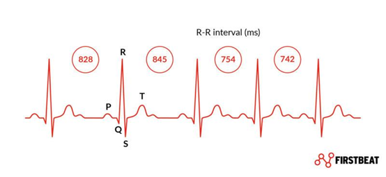 Illustrasi FirstBeat Analytics
