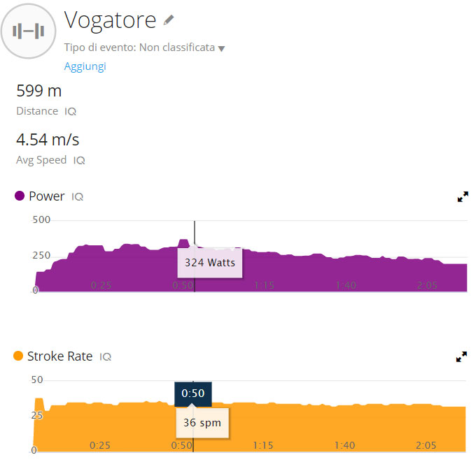 allenamento ergometro concept2