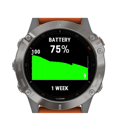grafico batteria garmin