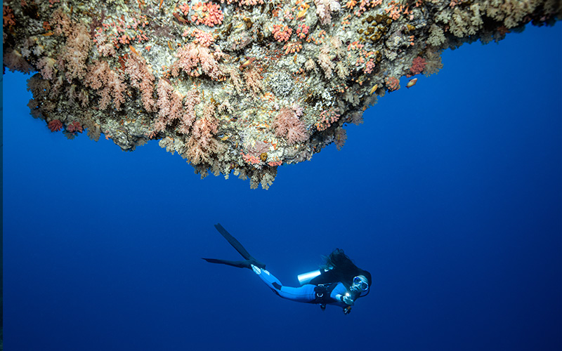 cos'è lo scuba diving