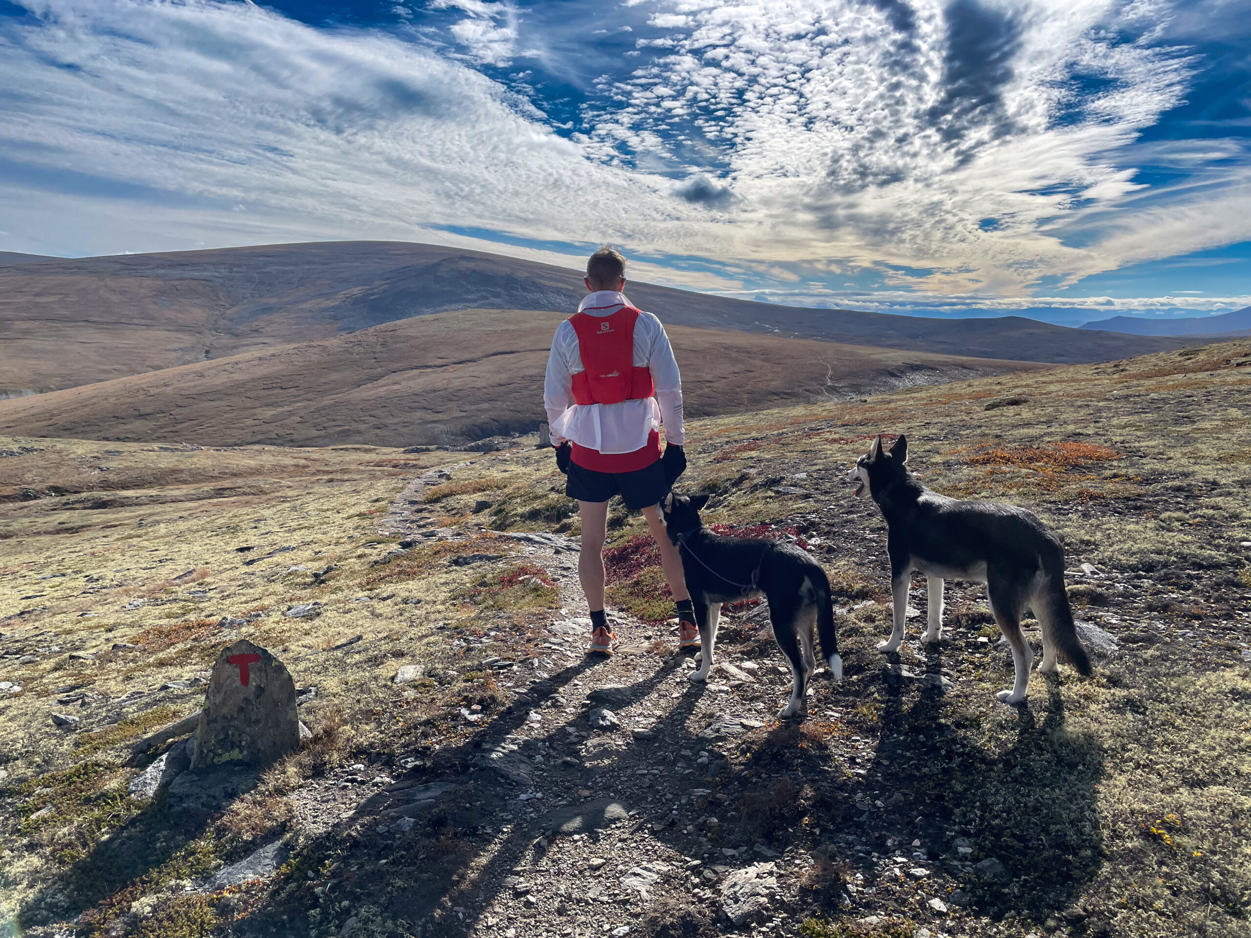 Rondane - Høvringen