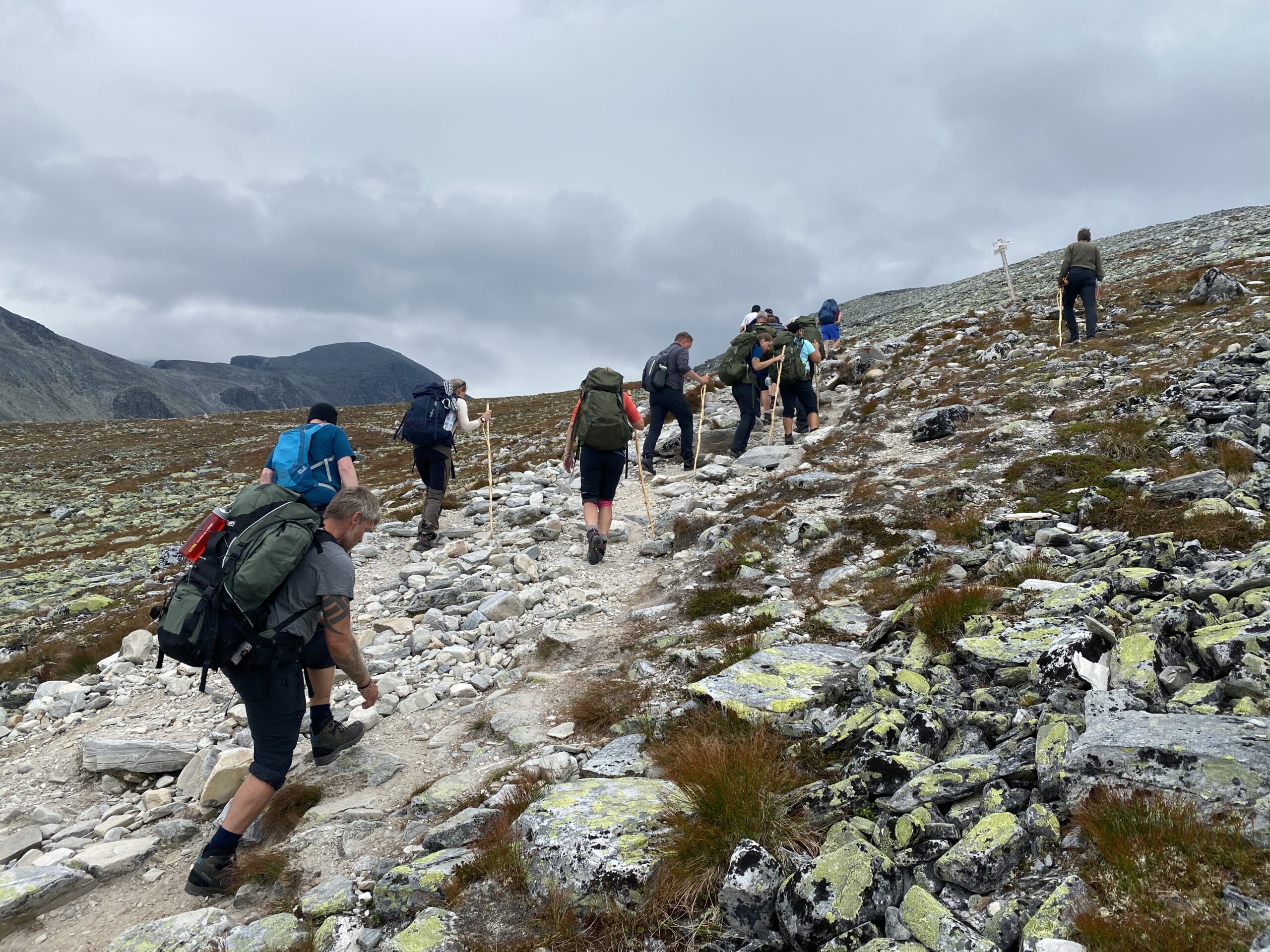 På tur med Medvandrerne