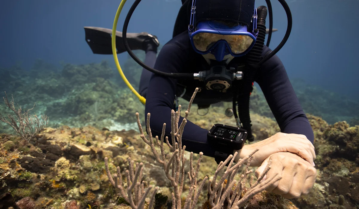 Svart jakthund med oransje Garmin Alpha® LTE-halsbånd sammen med jeger i skogen