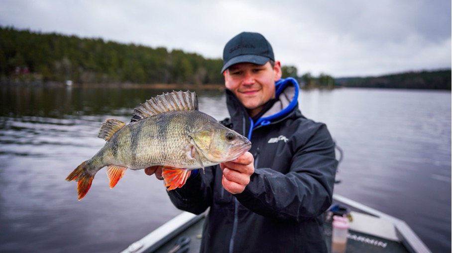Sportsfisker holder stor abbor i båt under vårfiske på innsjø
