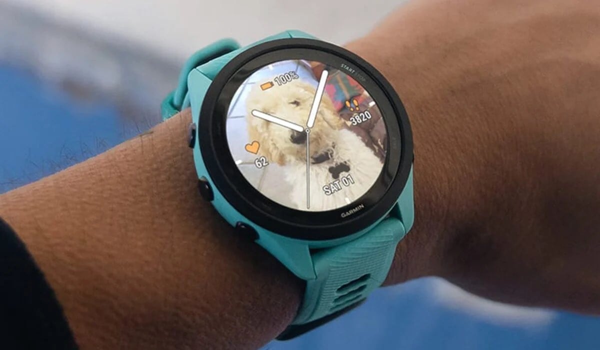 Turkos Garmin smartklocka på handled med rund skärm som visar analog urtavla, aktivitetsdata och ett foto av en ljusfärgad hund i bakgrunden. På skärmen syns batterinivå 100 procent, puls 62, steg 3820 och datum lördag 01. Klockan sitter på en persons arm och används inomhus.