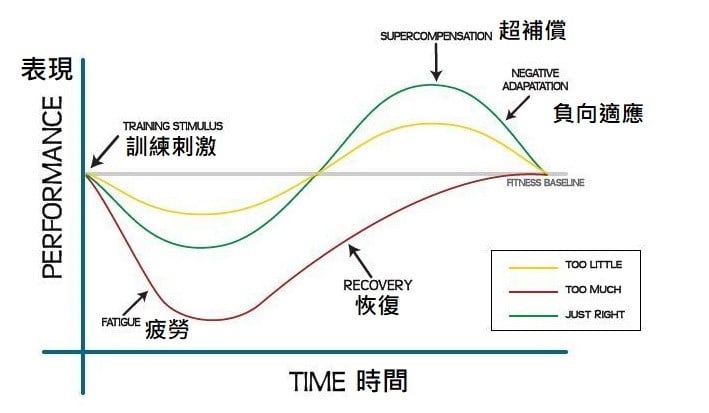 Periodization Training